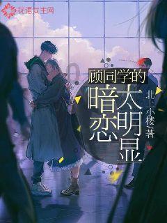 豆娃的冒险故事壹